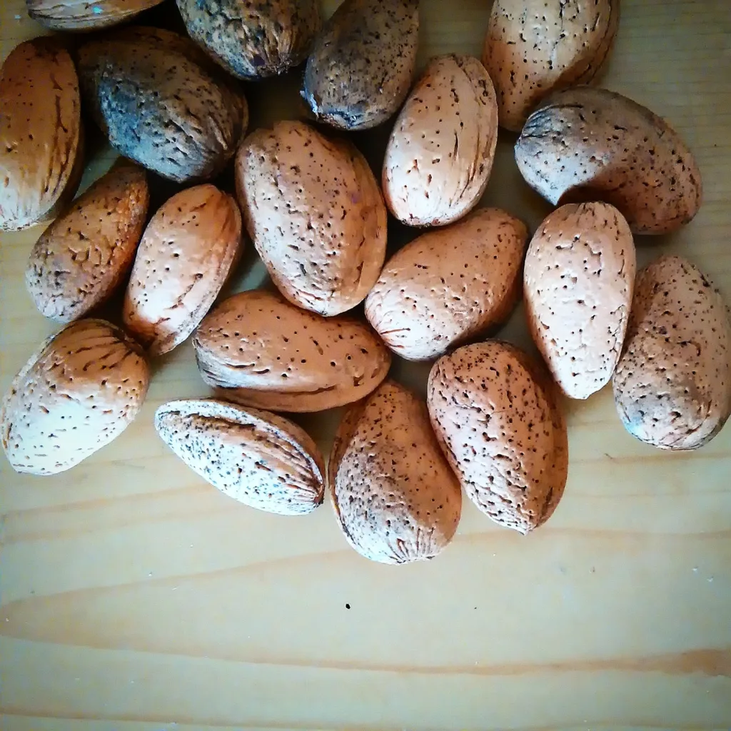 almendruquis