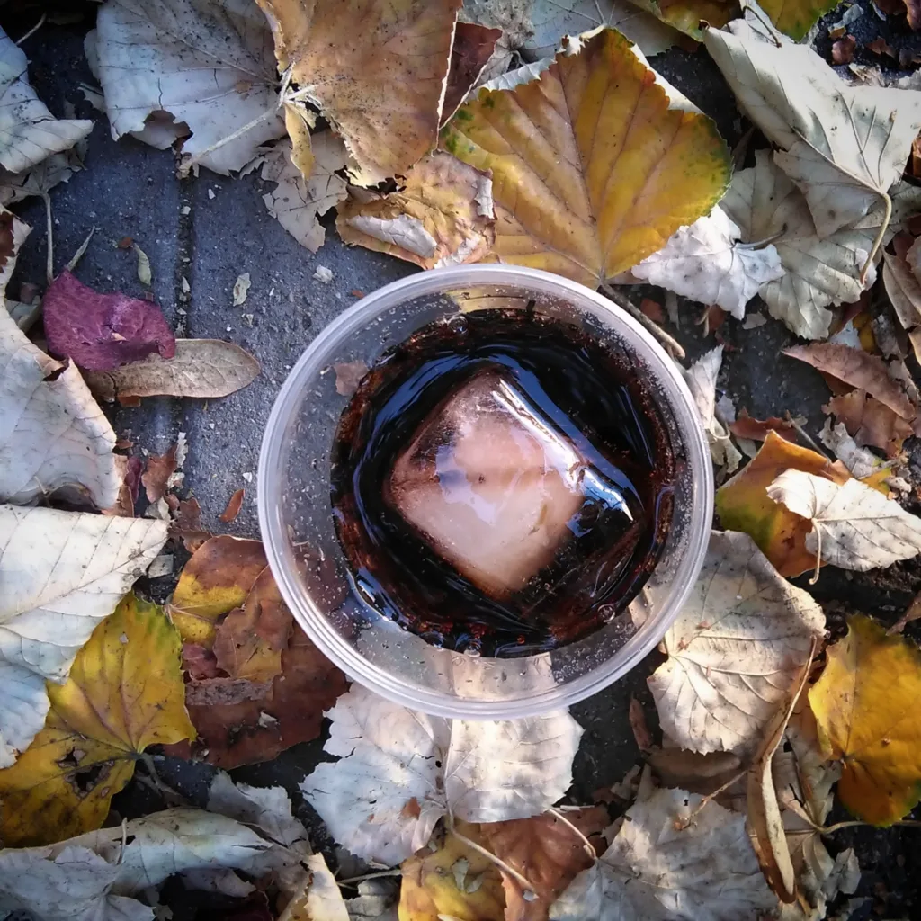 cafe entre hojas